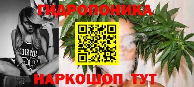 гашик Конаково