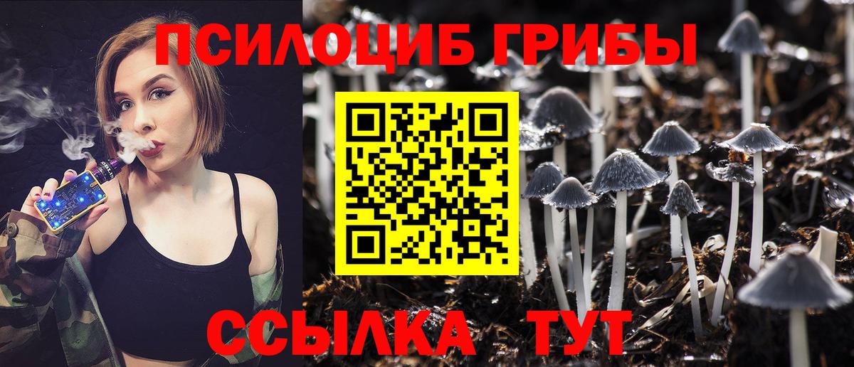 Новомосковск  Галлюциногенные грибы Cubensis  Вход с VPN  Галлюциногенные грибы MAGIC MUSHROOMS 